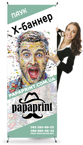 банер павук