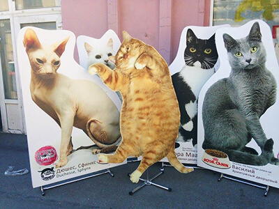 ростовые фигуры коты