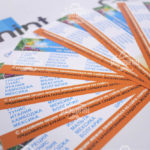 Флаера - фото 4