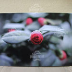 Интерьерная печать - фото 12