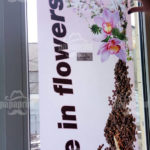 Печать на ПЭТ плёнке - фото 3